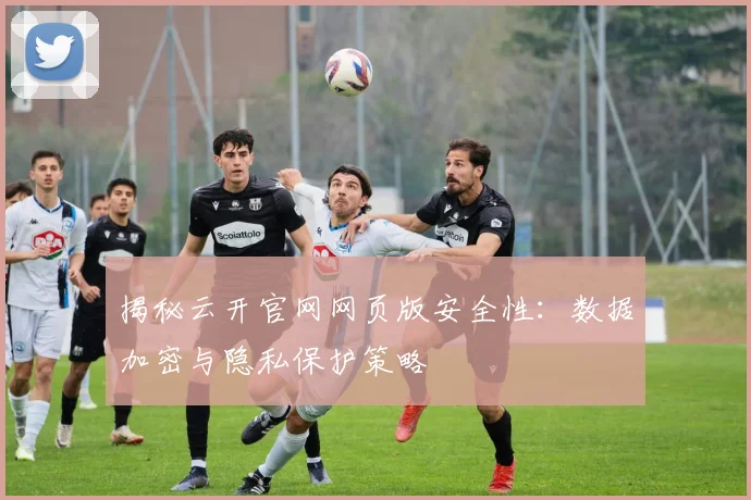 揭秘云开官网网页版安全性：数据加密与隐私保护策略